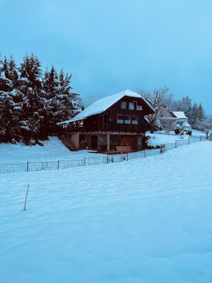Chalet Pjagodic Cerklje na Gorenjskem Zewnętrze zdjęcie